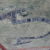 Ulewana-klanens symbol ser sådan ud. Deres totem er et firben. Foto: Heidi Brehm.
