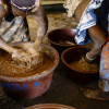 Derefter bliver de knuste nødder malet til en slags pasta, som samles i store kar. Foto: CIFOR Creative Commons 