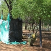 Her er toilettet. Der er gravet et dybt hul i jorden. Væggene af plastik sikrer, at man kan sidde i fred, når man er på toilettet. – Foto: Heidi Brehm
