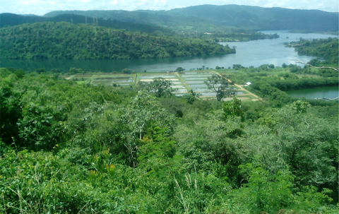 Voltalake